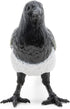 Papo - 50286 - Figurine - Magpie, Multicolor...