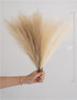 ChagoArt-Pampas Grass Decor Tall-Faux Pampas Grass Small 17"-6 Stems-Beige and Taupe-Brown-Pompas Floral-Fake Pampas Grass-Artificial Pampas Grass...