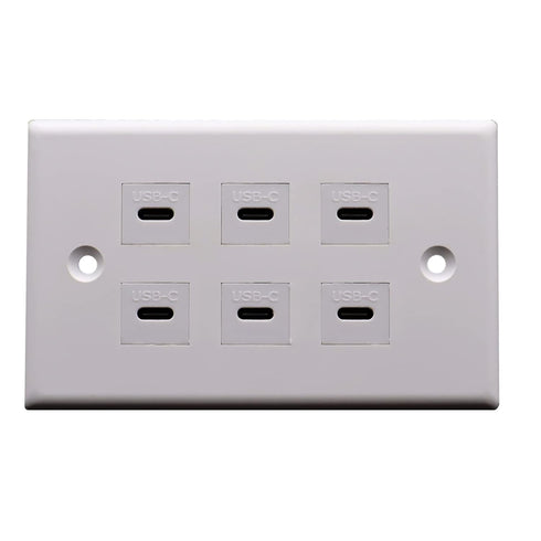 USB C Charger Wall Outlet Plate, LOKEKE 6 Ports USB Type C Power Wall Outlet Plug Plate for Smartphone Pad Switch, White...