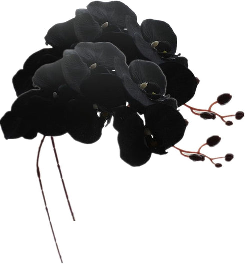 Rikyo 8 Heads Faux Black Orchid,40" Bouquets 2 Stem Phalaenopsis No Fade Petals Fake Flowers Forever Plants for Home Decoration, Office Decor,Wedd...