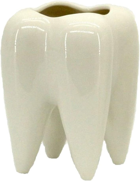 Ceramic Tooth Shaped Pen Pencil Toothbrush Holder Pot Succulent Plant Pot Home Office School Dentists Gift Ideal Gifts for Women, Mom or Birthdays...