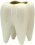 Ceramic Tooth Shaped Pen Pencil Toothbrush Holder Pot Succulent Plant Pot Home Office School Dentists Gift Ideal Gifts for Women, Mom or Birthdays...