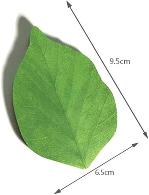 Leaf Sticky Note Pads Memo Pads Anti-forgetting Reminder Note DIY Decoration Home Wall/Photo Wall Decoration,50 Sheets/Pad,8 Pads,400 Pages in Tot...