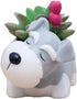 Cute Planter Animal Shaped Cartoon Home Decoration Succulent Vase Flower Pots (Schnauzer)...
