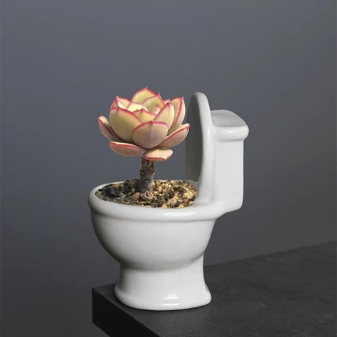 Cute Toilet Bowl Succulent Planter Pot with Drainage Tray, White Ceramic Cactus/Flower Container, Bonsai Holder for Air Plants...