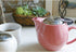 ZERO JAPAN BBN-01 BK Universal Teapot for 2 People, Black, W 5.5 x D 3.5 x H 3.9 inches (140 x 90 x 100 mm)...