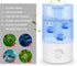 12PCS Universal Humidifier Cleaner Fish,Demineralization Cleaning Ball for Most Humidifier & Fish Tank, Purifies Water, Eliminates White Dust and ...