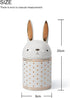 HAUCOZE Rabbit Cookie Jar Decorative Candy Jar with Lid Modern Arts Gifts Ceramic 8.1inch...