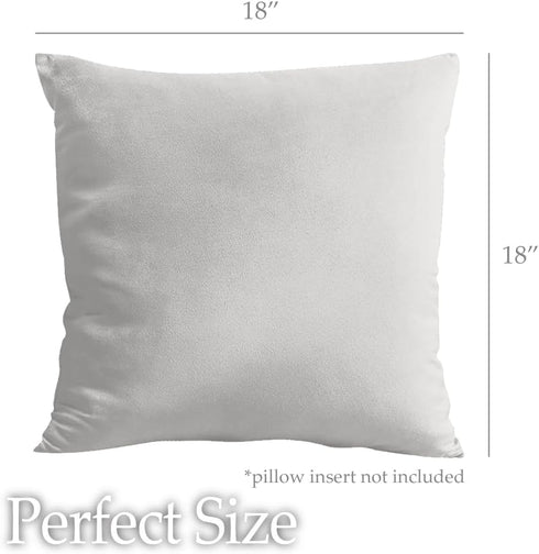 lalaLOOM Velvet Throw Pillow Covers, Set of 2, 18x18 Decorative Square Pillows Home Decor, Soft Accent Cases, Silky Machine Washable Pillowcases f...