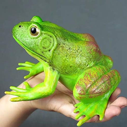 Gemini&Genius Tree Frog Toy Figure for Kids, Realistic Hand Painted Toy Bullfrog Action Figure Play or Display Toy, Animals Educational and Role P...