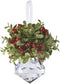 Ganz Kissing Krystal Acrylic Christmas Mistletoe Ornament with Hanger...