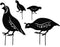 COHEALI 4Pcs Iron Cast Animal Stake Statue Rustic Quail Silhouette Quail Family Yard Black Metal Quail Art Garden Birds Silhouette Statue Lawn Bac...