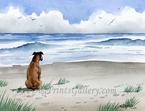 Boxer at the Beach Art Print by Watercolor Artist David J Rogers....