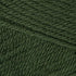 Patons Canadiana Yarn, Dark Green Tea...