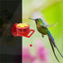 Hand Hummingbird Feeder, 3 Pack Mini Flower Handheld Hummingbird Feeding Tools with Cleaning Brush, Window Humming Wild Bird Feeders for Backyard ...