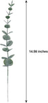 20pcs Faux Eucalyptus Stems Flowers Short Artificial Eucalyptus Greenery Stem Fake Eucuplutis Leaves Branches Decoration for Floral Arrangement We...