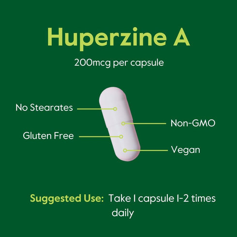 BESTVITE Huperzine A 200mcg from Naturally Derived Huperzia Serrata (120 Vegetarian Capsules) - No Stearates - No Flow Agents - Vegan - Non GMO - ...