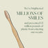 Biodegradable and Eco-Friendly Bamboo Toothbrush 4-Pack - BPA Free Soft Bristle - Dentist-Approved and All-Natural with Positive Affirmations Etch...