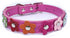 Flower Dog Collars for Small Dogs, Fancy Pretty Colorful Floral Cute Girl Puppy Collar for Xs Small Breed Pet Female Dogs Tiny Cats, Hot Pink Xsma...