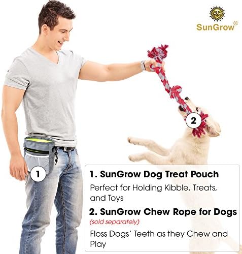 SunGrow Dog, Ferret & Parrot Training Pouch, Training Bag for Treats, Kibbles, Toys & Accessories, Gray, Multiwear and Weather-Proof, 1 pouch with...
