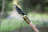 SE Outdoor Tanto Knife with Firestarter - KHK6320...