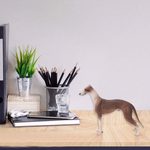 Greyhound Model, Plastic Material Simulation Greyhound , Teaching Tool Smoothing for...