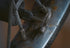 Dremel 428-02 Carbon Steel Brushes (2 Pack), 3/4" Diameter...