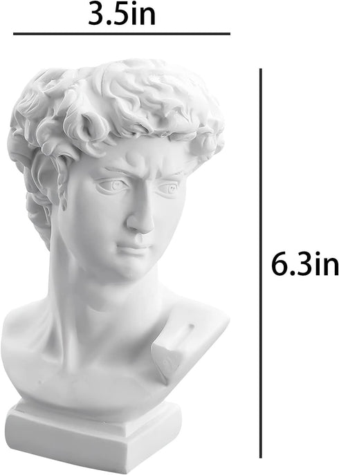 David Statue Vase - 6 Inch Greek Bust Head Aesthetic Planter White Home Decor Roman Style Resin Succulent Flower Planter Pot Sculpture Brushes Hol...