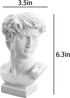 David Statue Vase - 6 Inch Greek Bust Head Aesthetic Planter White Home Decor Roman Style Resin Succulent Flower Planter Pot Sculpture Brushes Hol...