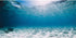 AWERT 48x18 inches Polyester Ocean Floor Background Undersea Ocean Floor Aquarium Background Tropical Tank Background...
