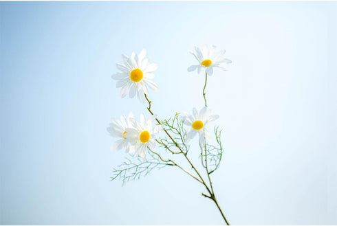 10pcs Artificial Daisy Flowers Flower Arrangements for Home Hotel Office Wedding Party Garden Craft Art Decor Each Approx 21" High No Vase White...