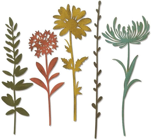 Sizzix Thinlits Die Set , Wildflower Stems #1 by Tim Holtz, 5 Pack, One Size, Multicolor 5 Piece...