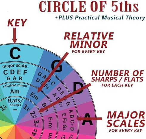4 String Bass Instructional Chart with Fretboard Notes Poster - Nashville Numbering System - Circle of 5ths | A New Song Music | 11"x17"...