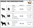 Native Pup Cute Animal Dog Collar, Shark Pattern for Girl or Boy Dogs, Adjustable Size Durable Nylon (Sharks, Large)...