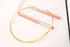XinNuoShangMao Fashion Must-have Stainless Steel Gold Plated Metal Plain Cuff Chocker Collar Necklace for Women (golden)...