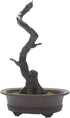KOET Artificial Bonsai Pine Tree, 11Inch Faux Potted Plant Desk Display Fake Tree Pot Ornaments, Japanese Cedar Bonsai Plant for Home, Office Deco...