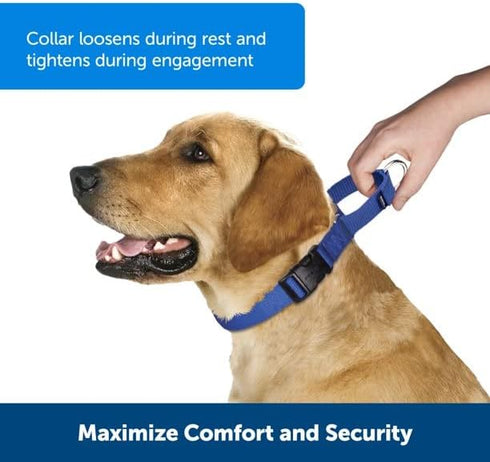 PetSafe Adjustable Martingale Collar - Only Tightens When Dogs Pull, Prevents Slipping Out - Helps with Strong Pullers, Increased Control - Altern...