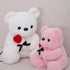 12 inch Teddy Bear Stuffed Animal with Rose, Soft Cuddly Stuffed Plush Bear, Gifts for Kids Baby Toddlers on Baby Shower, Valentine's Day (White)...