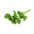 Pure and Organic Lovage Dried Leaves 50g (1.76oz) In Resealable Moisture Proof Pouch, USDA Certified Organic - Herbal Tea, No Additives, No Preser...