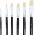 Transon Paint Brush Set 6pcs Art Painting Flexible Bristle for Acrylic Watercolor Gouache Oil Leather Canvas and Face Painting...