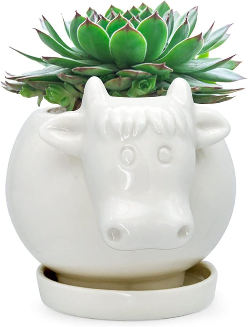GeLive White Cow Ceramic Succulent Planter Tabletop Animal Plant Pot with Drainage Tray Indoor Cow Stuff Pen Pencil Brush Holder Desk Organizer De...