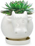 GeLive White Cow Ceramic Succulent Planter Tabletop Animal Plant Pot with Drainage Tray Indoor Cow Stuff Pen Pencil Brush Holder Desk Organizer De...