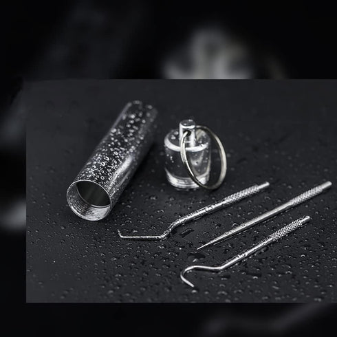 304 Stainless Steel Teeth Cleaning Tools Portable Metal Toothpicks Multi Functional Teeth Tools with Storage Tube for Men Women 7 Pcs...