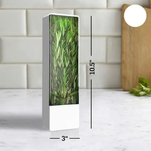 Herb Saver, Fresh Herb Keeper For Refrigerator, Cilantro Storage Container, Square Herb Saver Pod For Cilantro, Asparagus, Onion - Keeps Vegetable...