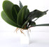 WINOMO Orchid Leaf, Artificial Orchid Plant Fake Flower Leaf Home Office Decoration...