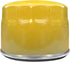 696854 Oil Filter Replacement for Models 79589, 92134GS, 92134 and 695396...