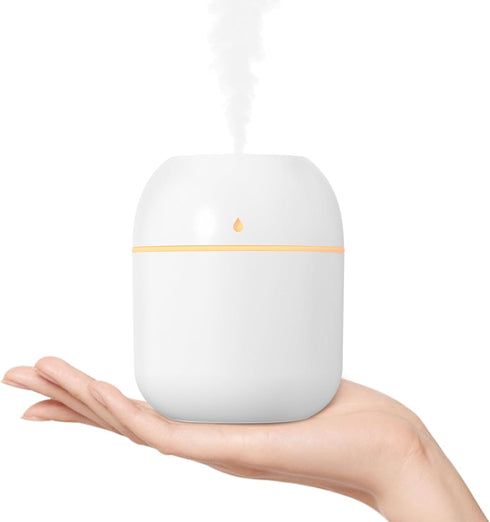 Portable Small Humidifier, USB Personal Desktop Humidifier for Car, Office Room, Bedroom, Auto Shut-Off, 2 Mist Modes, Super Quiet(220ml, White)...