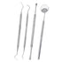 Plaque Remover for Teeth Cleaning Kit Tatar and Calculus Removal Dental Mirror Dentist Care Set Stainless Steel Dental Tools for Personal and Home...