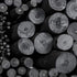 PH Coate Artist Willow Charcoal Assorted Length, 30 Sticks, Black...