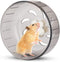 Silent Hamster Exercise Wheels Hamster Toys Hamster Wheels 5.2 inches Hamster Ball Small Pet Running Toy Ball Gerbils Mice Rat Guinea Pig Hamster ...